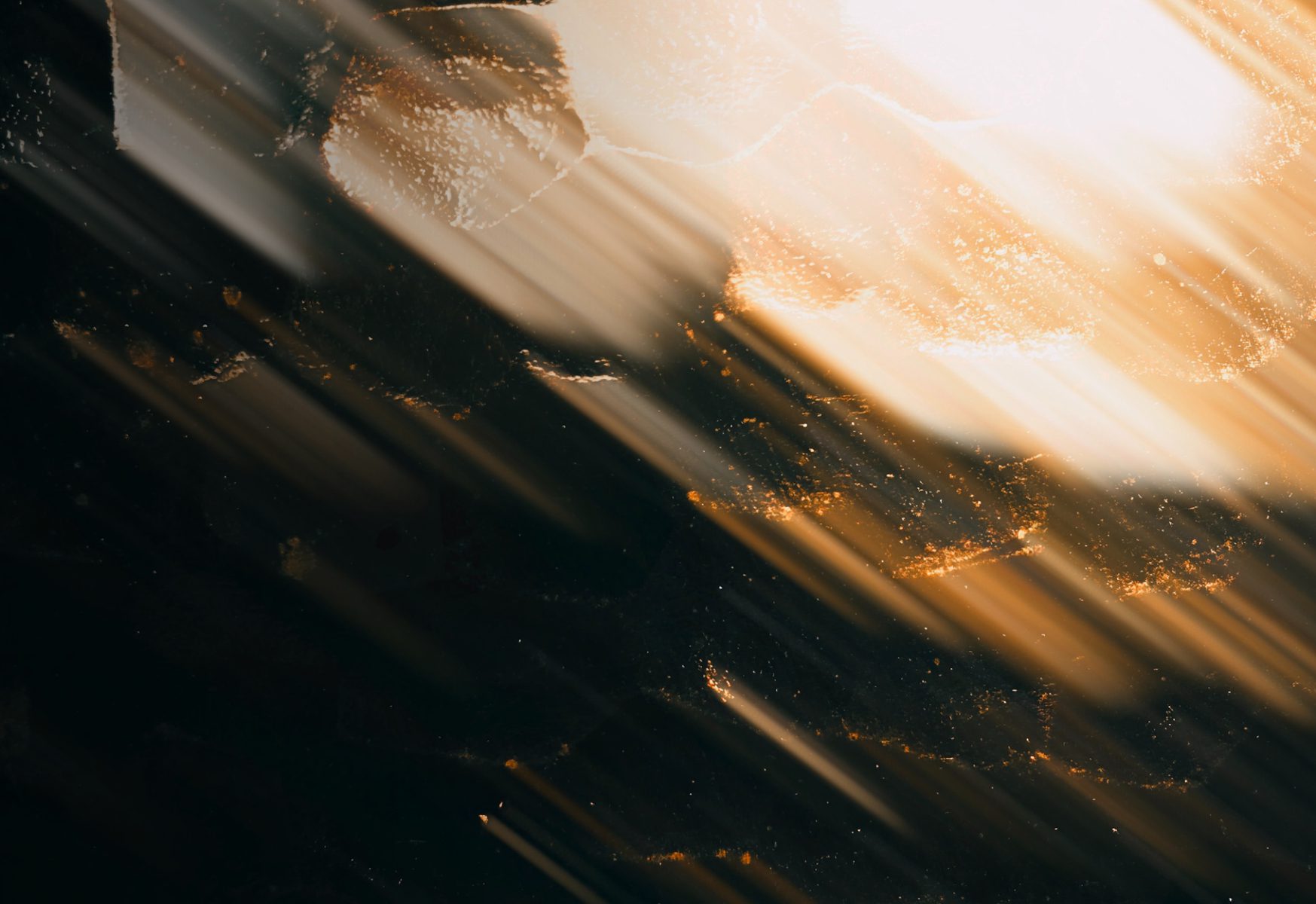 NOTIFIER BY HONEYWELL